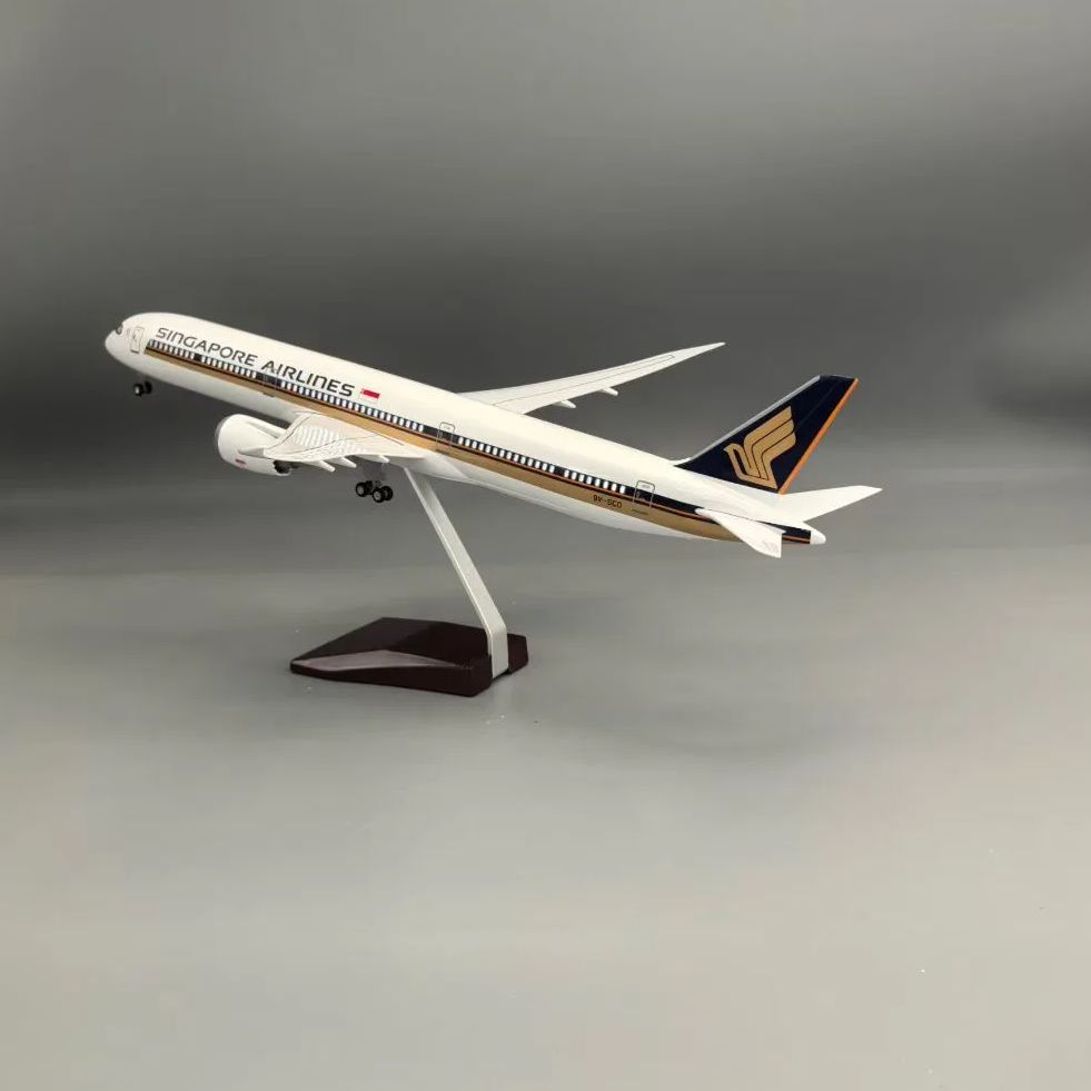 Модель самолета из смолы, масш – обзор и цена Model Kit Singapore