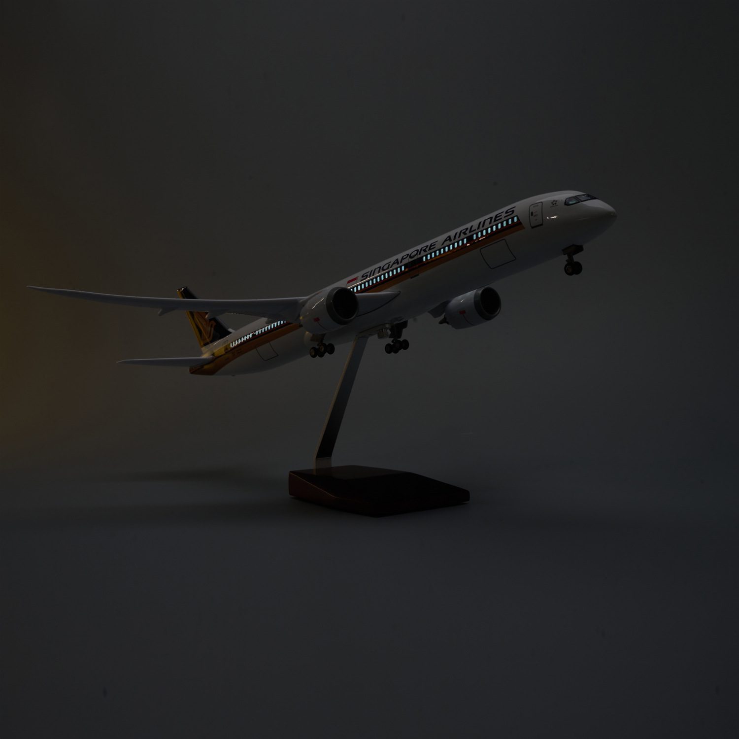 Масштабная модель самолета Sin – обзор и цена Model Kit Singapore