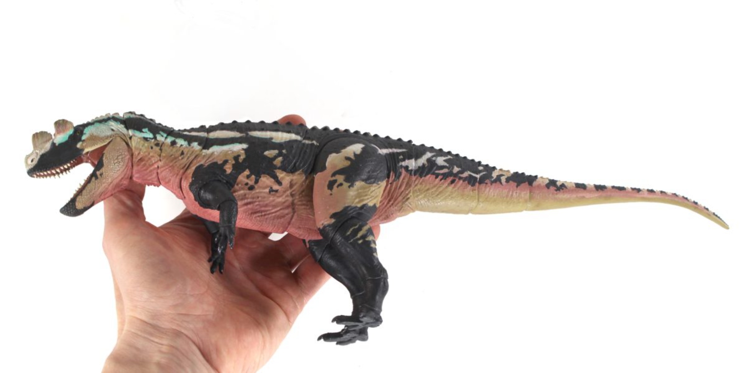 Звери мезозоя от студии: модел – обзор и цена Model Kit Hemoxian